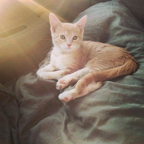 /Images/uploads/Humane Society of Utah/HSUCalendar/entries/1206thumb.jpg